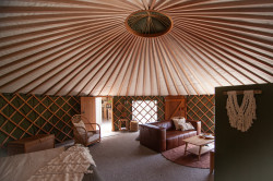 The Green Tent - Matakana Accommodation - 1