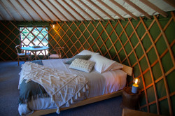 The Green Tent - Matakana Accommodation - Sumptuous King bed