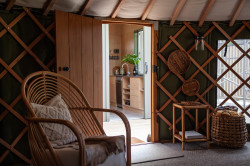 The Green Tent - Matakana Accommodation - Interior